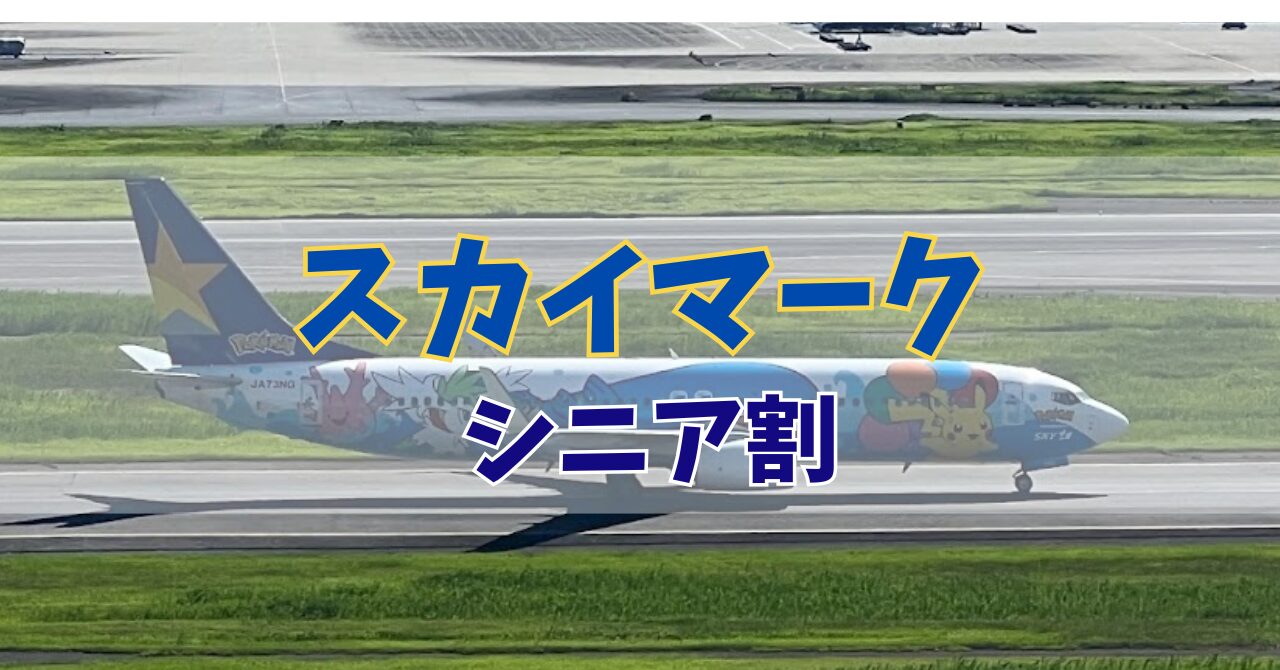 スカイマークシニアメイト支払い方法